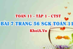 Bài 7 trang 56 SGK Toán 11 Tập 1 Chân trời sáng tạo